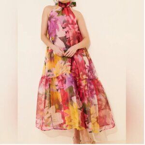 Anthropologie Corey Lynn Calter Avalon Halter Maxi Dress size M